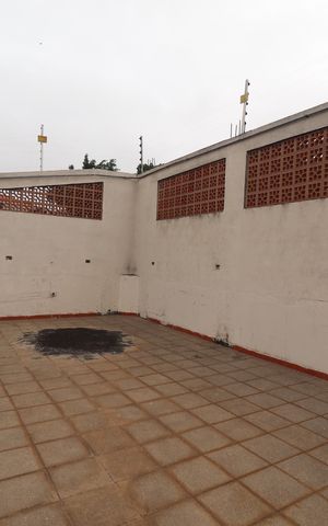 Casa à venda com 244m², 3 quartos e 2 vagasTerraço