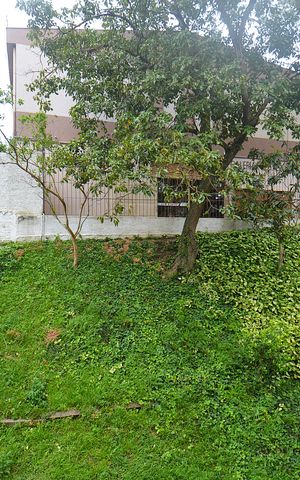 Apartamento à venda com 58m², 2 quartos e 1 vagaVista da Janela do Quarto 1