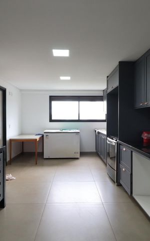 Apartamento para alugar com 295m², 4 quartos e 4 vagas Apartamento para alugar com 295m², 4 quartos e 4 vagasCozinha