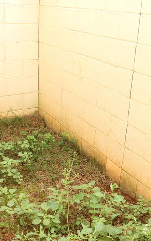 Casa de condomínio para alugar com 80m², 2 quartos e 1 vagaÁrea Externa