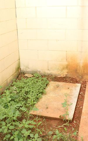 Casa de condomínio para alugar com 80m², 2 quartos e 1 vagaÁrea Externa