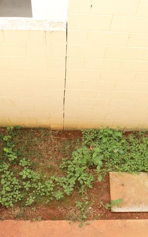 Casa de condomínio para alugar com 80m², 2 quartos e 1 vagaVista Quarto 2