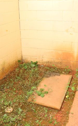 Casa de condomínio para alugar com 80m², 2 quartos e 1 vagaVista da Cozinha