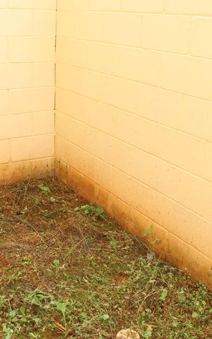 Casa de condomínio para alugar com 80m², 2 quartos e 1 vagaVista da Cozinha