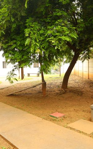 Apartamento à venda com 53m², 2 quartos e 1 vagaÁrea comum - Academia externa