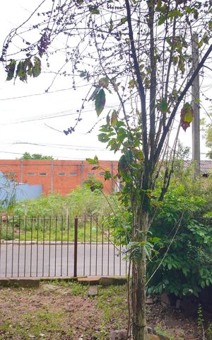 Casa à venda com 120m², 3 quartos e 1 vagaVista do Quarto 1
