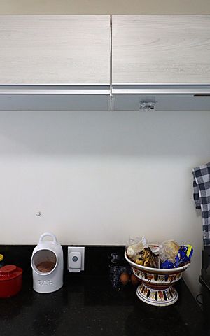 Apartamento à venda com 196m², 4 quartos e 2 vagasCozinha - Armários