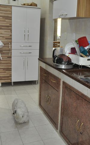 Apartamento à venda com 80m², 3 quartos e 1 vagaCozinha