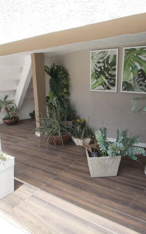 Casa à venda com 318m², 5 quartos e 2 vagasJardim