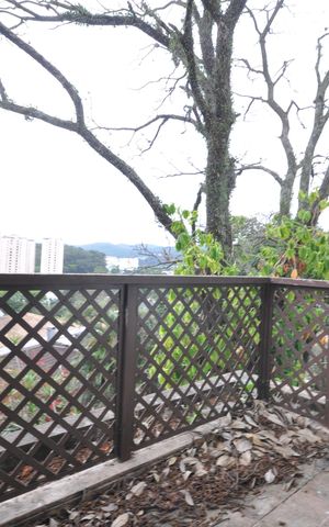 Casa à venda com 450m², 3 quartos e 3 vagasSacada da Sala de TV