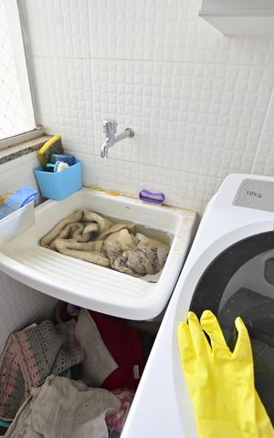 Apartamento para alugar com 81m², 3 quartos e 2 vagas Apartamento para alugar com 81m², 3 quartos e 2 vagasÁrea de Serviço