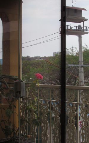 Casa à venda com 245m², 4 quartos e 3 vagasÁrea gourmet