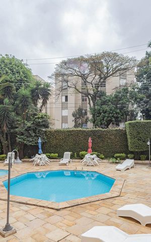 Apartamento à venda com 55m², 2 quartos e 1 vagaÁrea comum - Piscina