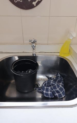 Apartamento à venda com 210m², 4 quartos e 4 vagasÁrea de Serviço