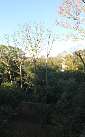 Apartamento à venda com 88m², 2 quartos e 2 vagas Apartamento à venda com 88m², 2 quartos e 2 vagasVista do Quarto