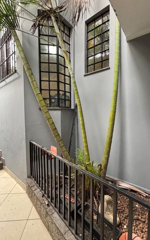 Casa à venda com 230m², 3 quartos e 5 vagas Casa à venda com 230m², 3 quartos e 5 vagasQuintal
