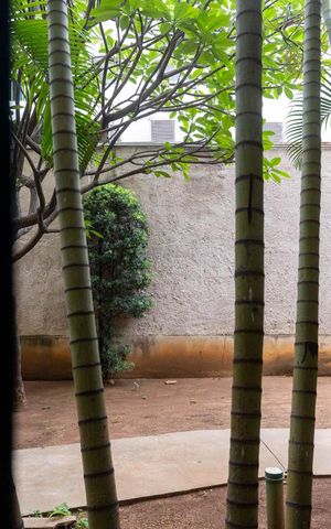 Apartamento à venda com 49m², 2 quartos e sem vaga Apartamento à venda com 49m², 2 quartos e sem vagaVista da Sala