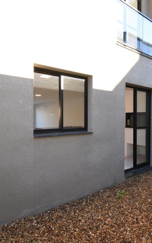 Casa para alugar com 225m², 3 quartos e 4 vagasÁrea externa