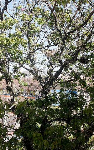 Apartamento à venda com 45m², 1 quarto e sem vagaCozinha + Área de Serviço Vista