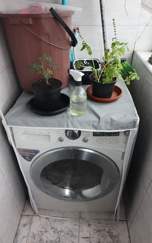 Apartamento à venda com 45m², 1 quarto e 1 vagaÁrea de Serviço