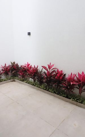 Casa à venda com 150m², 3 quartos e 4 vagasÁrea de Serviço