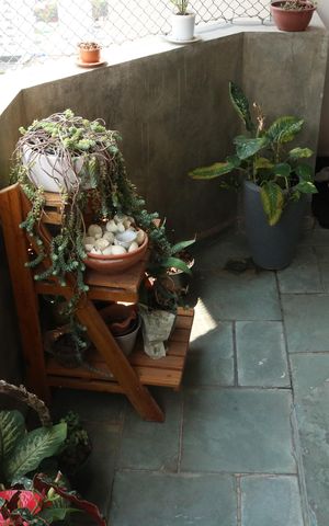 Apartamento para alugar com 120m², 3 quartos e 2 vagasVaranda da Sala