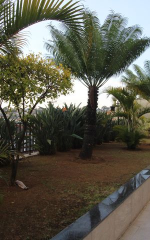 Apartamento à venda com 58m², 2 quartos e 1 vagaÁrea comum