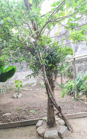 Casa à venda com 130m², 2 quartos e 4 vagas Casa à venda com 130m², 2 quartos e 4 vagasJardim