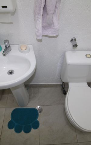 Casa para alugar com 520m², 4 quartos e 4 vagasBanheiro da Garagem