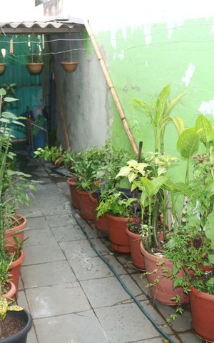 Casa à venda com 98m², 1 quarto e sem vagaQuintal