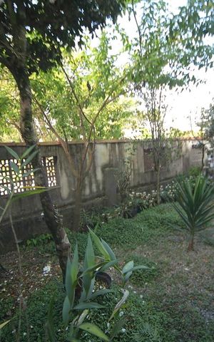 Casa à venda com 265m², 4 quartos e 2 vagasJardim