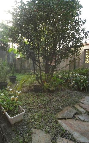 Casa à venda com 265m², 4 quartos e 2 vagasJardim