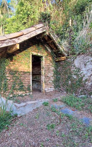 Casa de condomínio à venda com 326m², 3 quartos e 3 vagas Casa de condomínio à venda com 326m², 3 quartos e 3 vagasQuintal