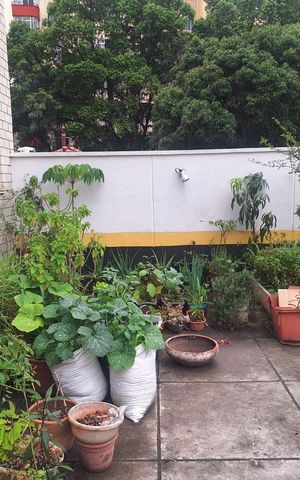 Apartamento para alugar com 48m², 1 quarto e 1 vagaÁrea Externa