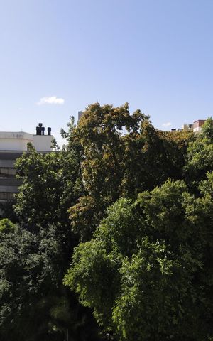 Apartamento à venda com 169m², 4 quartos e 1 vagaVista Varanda da Sala 2
