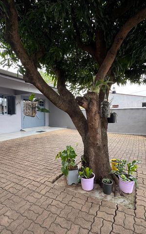 Casa à venda com 225m², 3 quartos e 1 vaga