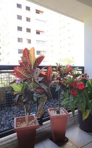 Apartamento à venda com 92m², 2 quartos e 2 vagasVaranda Quarto 2