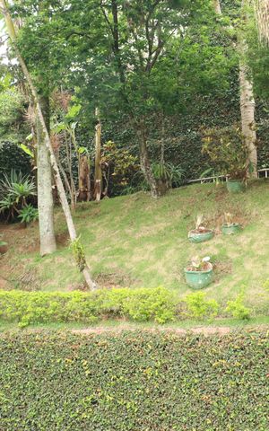 Casa de condomínio para alugar com 360m², 5 quartos e 6 vagasÁrea Externa