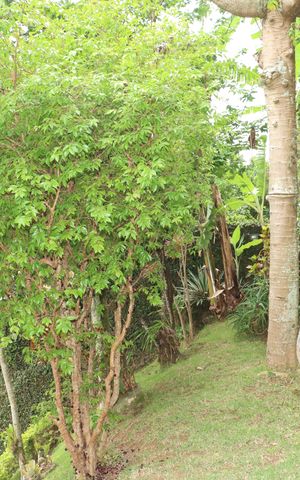 Casa de condomínio para alugar com 360m², 5 quartos e 6 vagasÁrea Externa