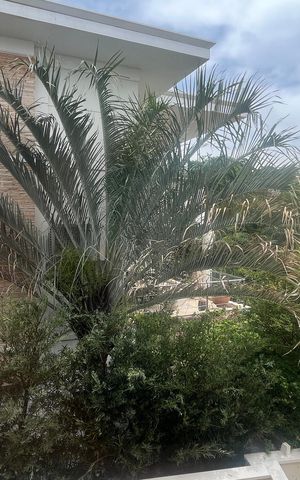 Casa de condomínio à venda com 980m², 4 quartos e 8 vagas Casa de condomínio à venda com 980m², 4 quartos e 8 vagasVista da Suíte 2