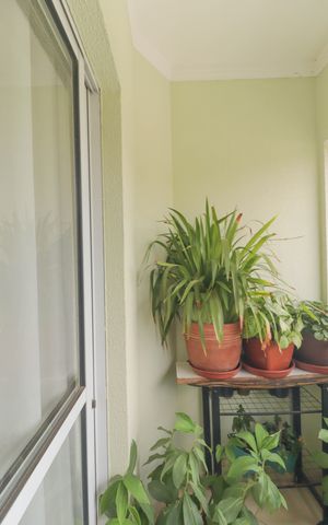 Apartamento à venda com 72m², 3 quartos e 2 vagas Apartamento à venda com 72m², 3 quartos e 2 vagasSala