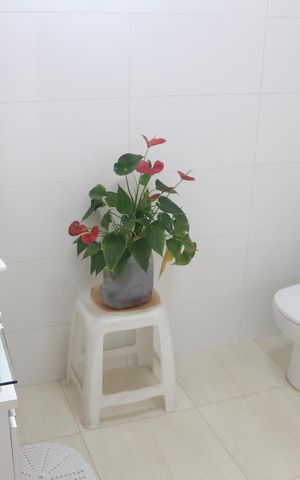 Apartamento à venda com 150m², 3 quartos e 2 vagasBanheiro