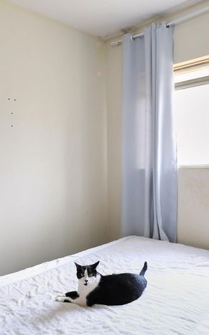 Casa à venda com 248m², 3 quartos e 1 vaga Casa à venda com 248m², 3 quartos e 1 vagaQuarto 1