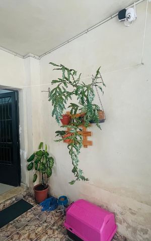 Casa à venda com 158m², 5 quartos e 2 vagas Casa à venda com 158m², 5 quartos e 2 vagasQuintal