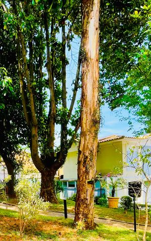 Casa de condomínio à venda com 247m², 3 quartos e 4 vagas Casa de condomínio à venda com 247m², 3 quartos e 4 vagasÁrea comum