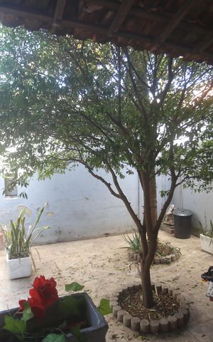Casa para alugar com 360m², 4 quartos e 3 vagasÁrea comum