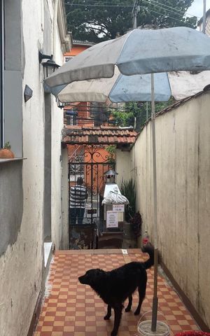 Casa à venda com 200m², 3 quartos e sem vaga