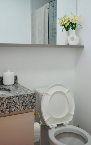 Studio à venda com 21m², 0 quarto e sem vaga Studio à venda com 21m², 0 quarto e sem vagaStudio Banheiro