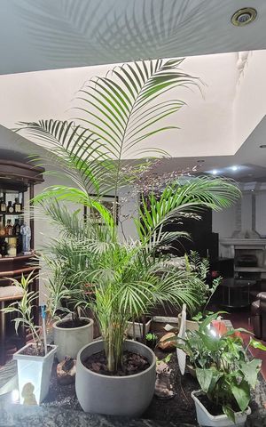 Casa à venda com 450m², 4 quartos e 2 vagasSala