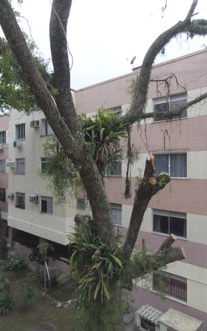 Apartamento à venda com 52m², 2 quartos e 1 vagaQuarto 1 - Vista